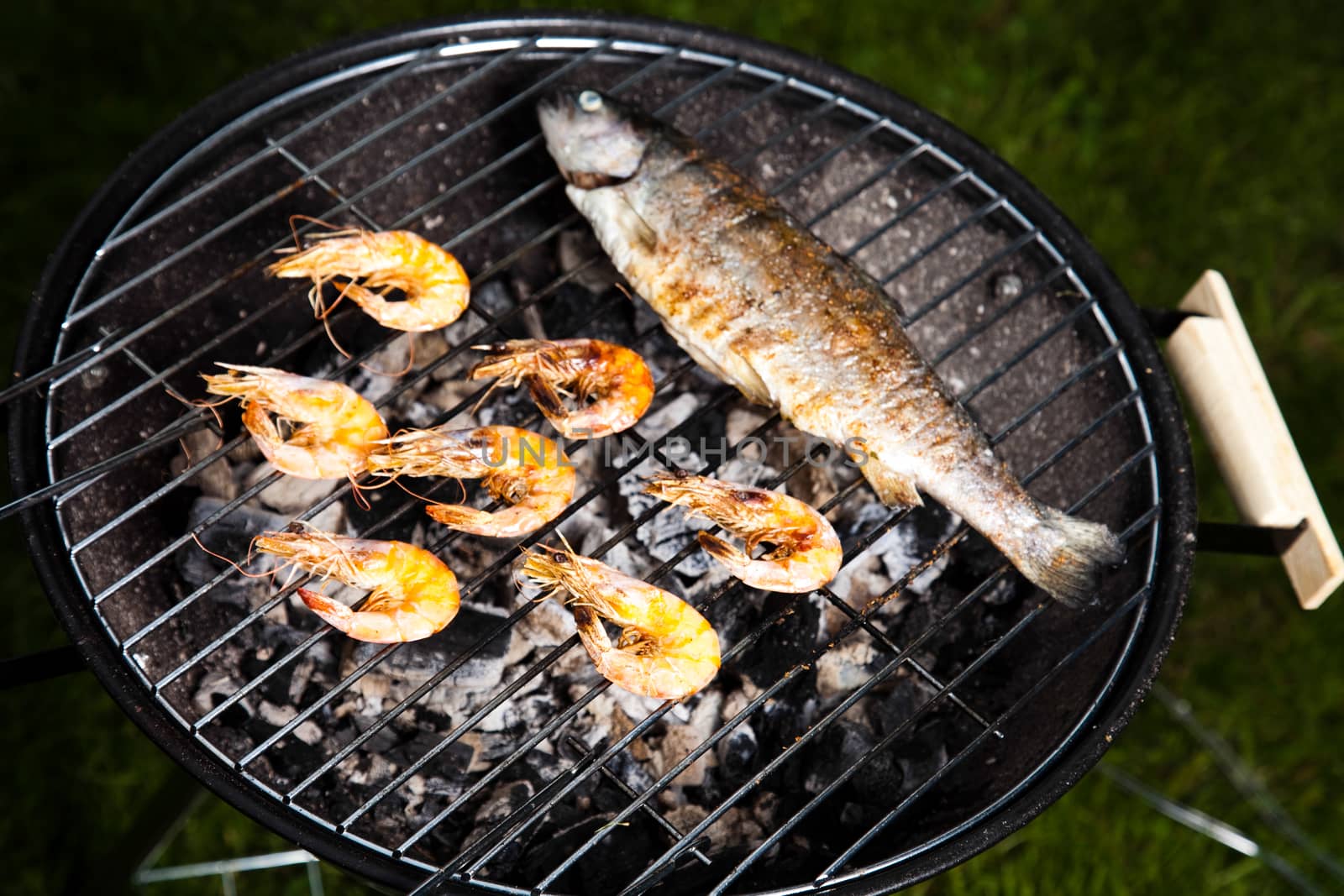 Grilling fish and shrimps, bright colorful vivid theme