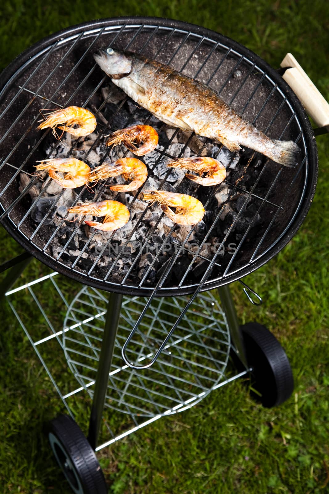 Grilling fish and shrimps, bright colorful vivid theme