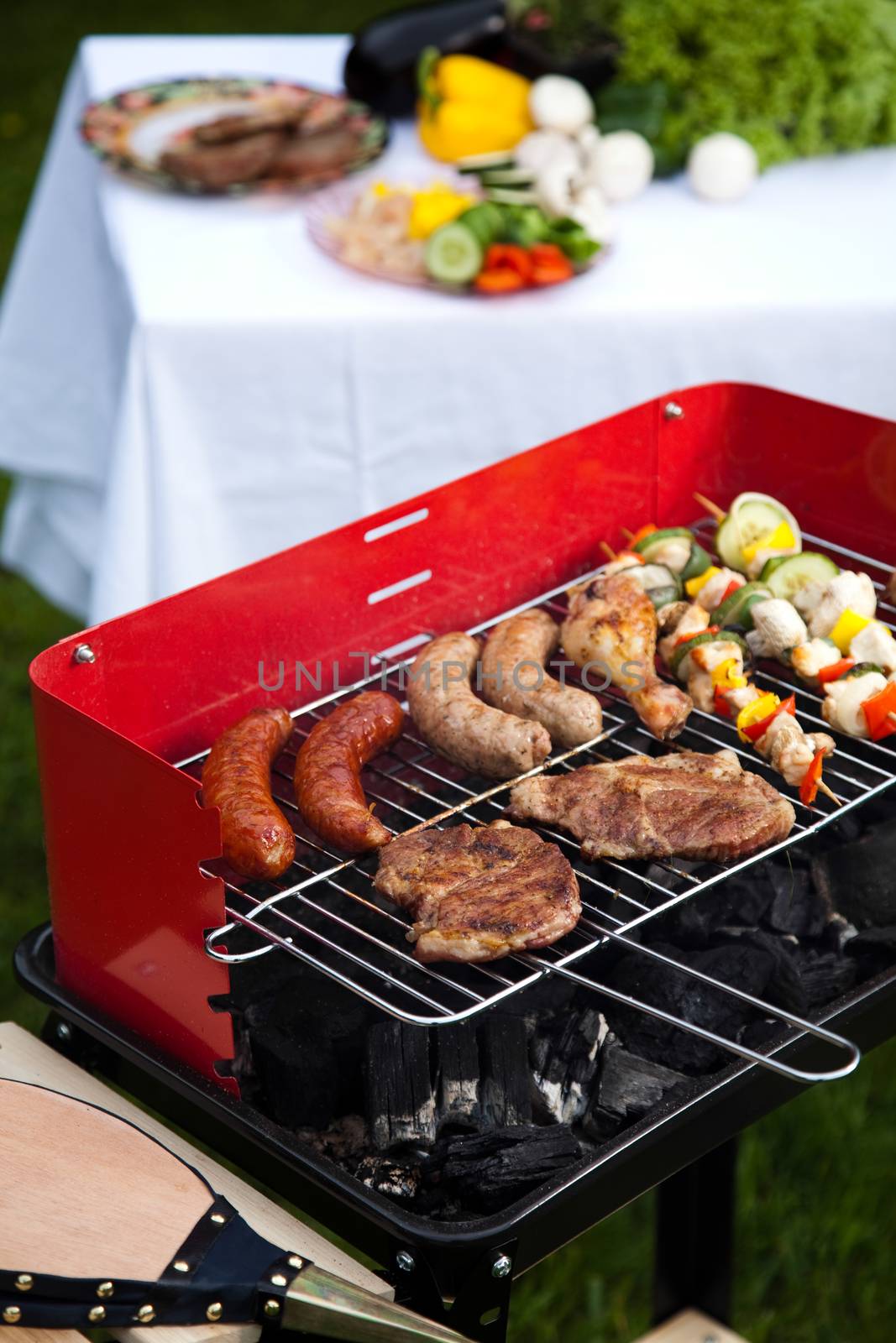Grilling meat in flames, tasty dinner