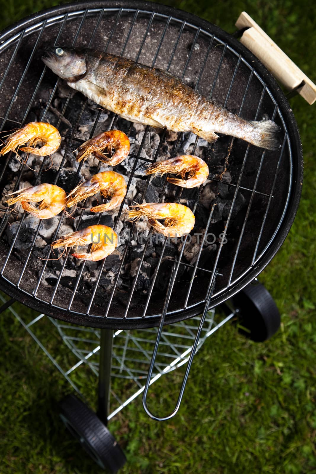 Grilling fish and shrimps, bright colorful vivid theme