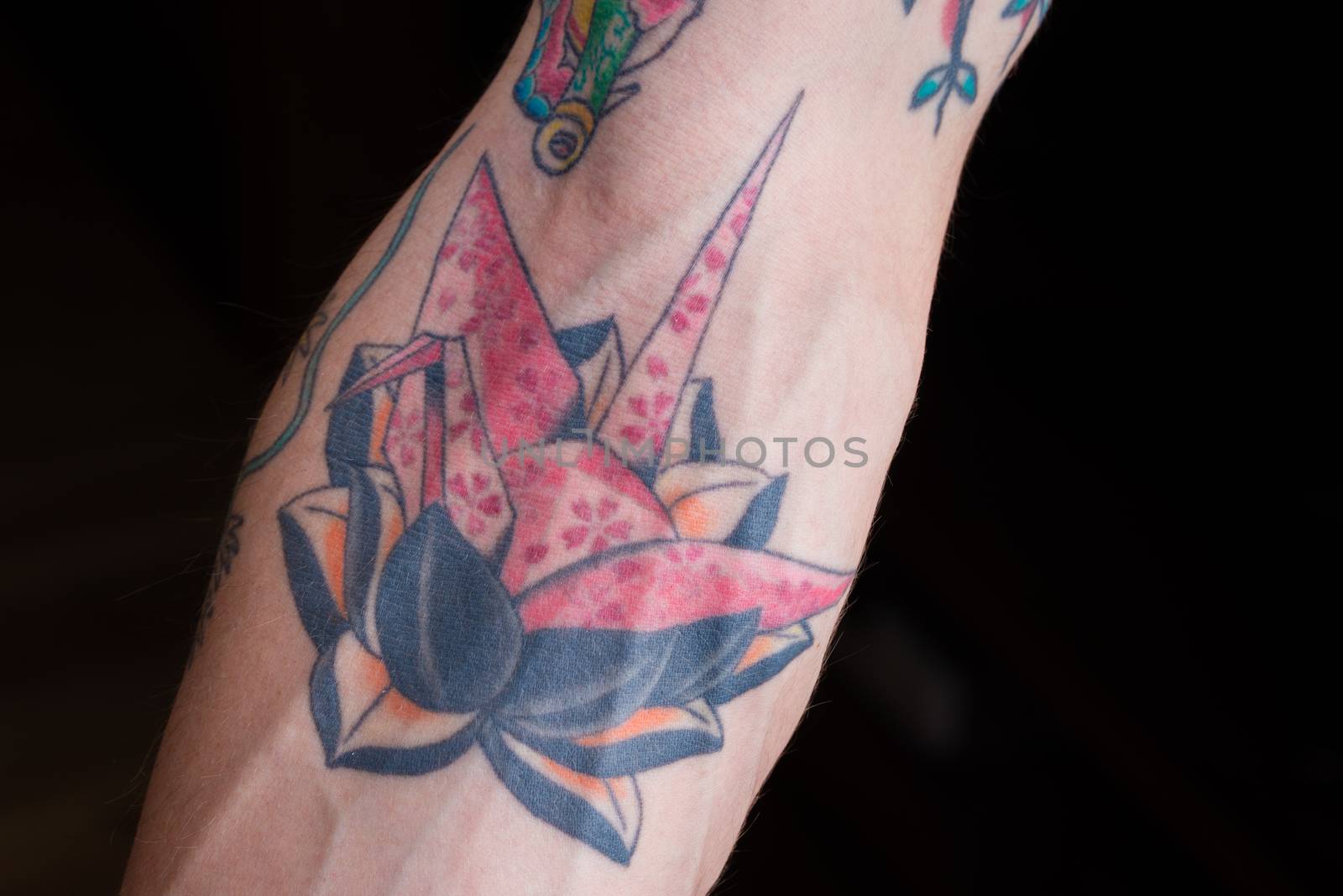 Tattoo of a pink origami crane with cherry blossom petal design on a black and orange lotus.