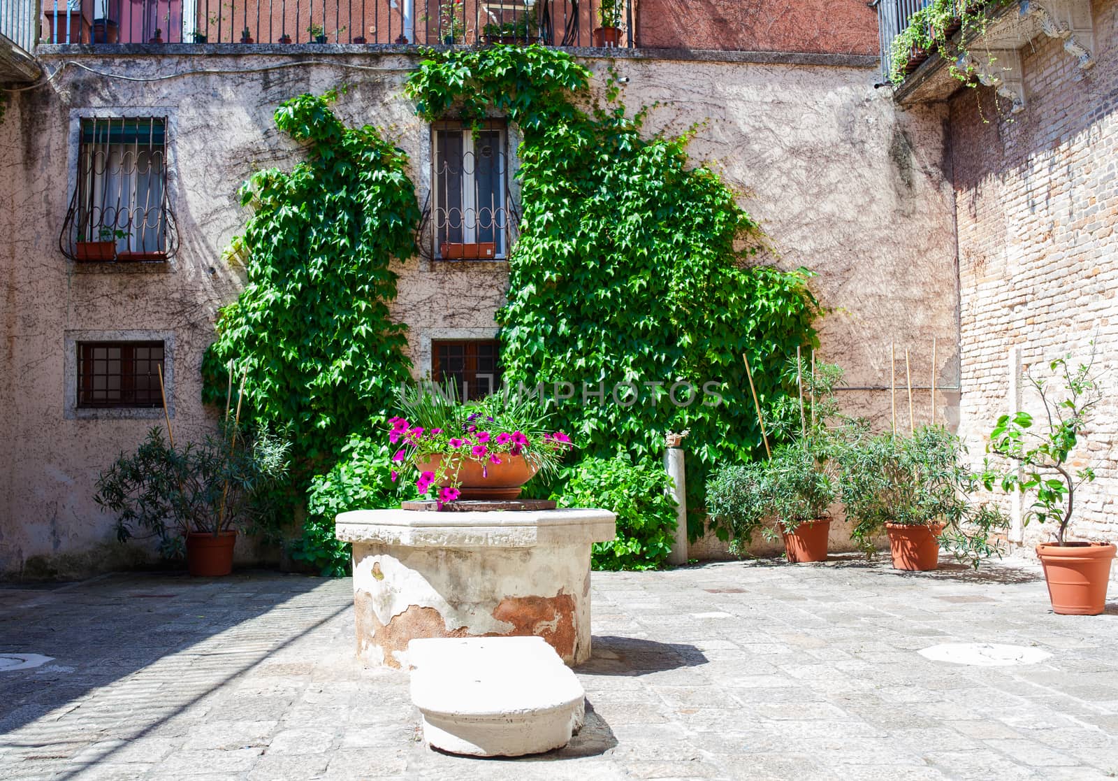 View of Typical Venice well covered by flowers