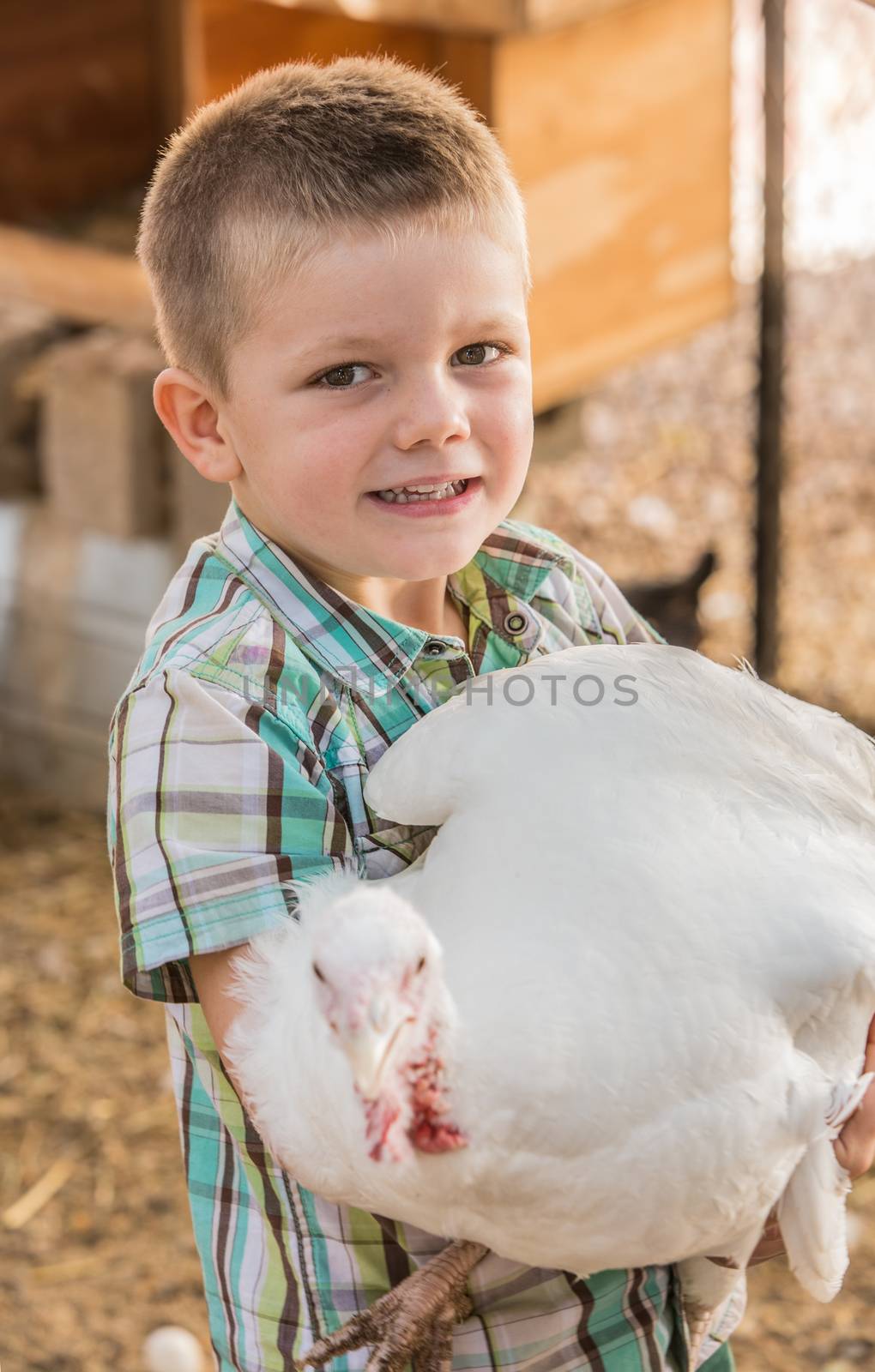 Single smiling boy holds his pet turkey