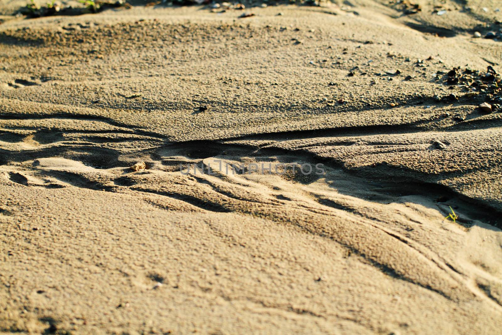 An image of a wet sandy beach line