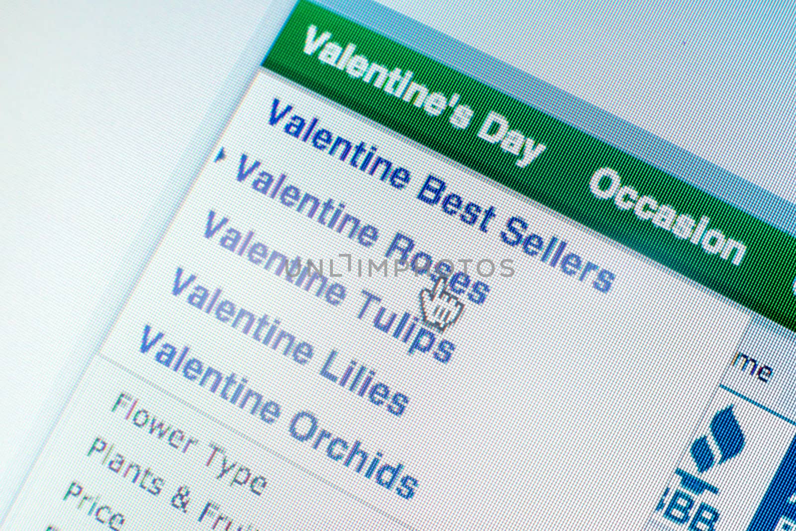 Mouse clicking "Valentines roses" link on website by iamway