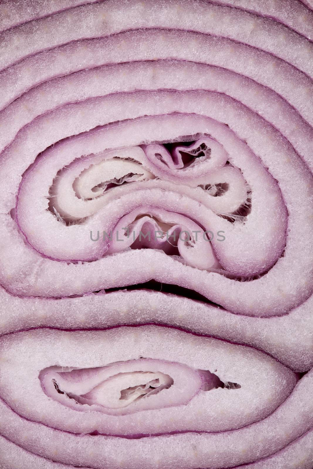 background of half cut red onion, macro