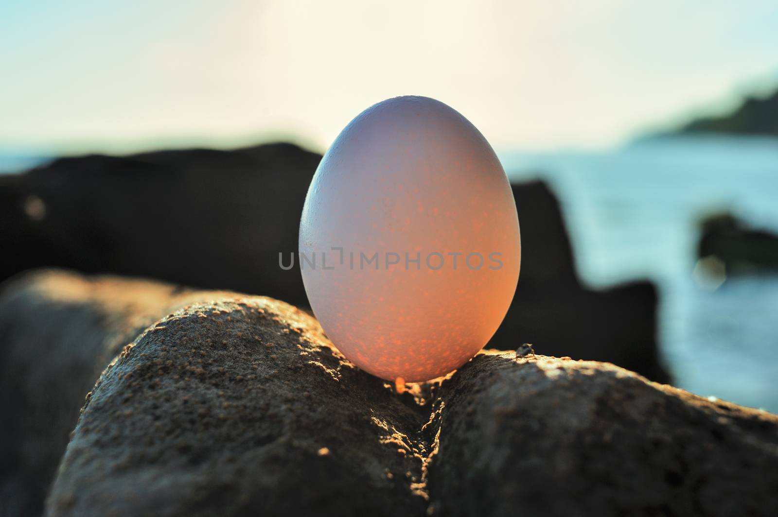 Hen's egg on the boulder on the seashore