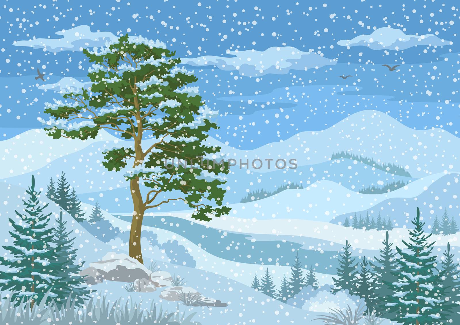 Winter Mountain Landscape with Pine and Fir Trees, Blue Sky with Snow, Birds and Clouds