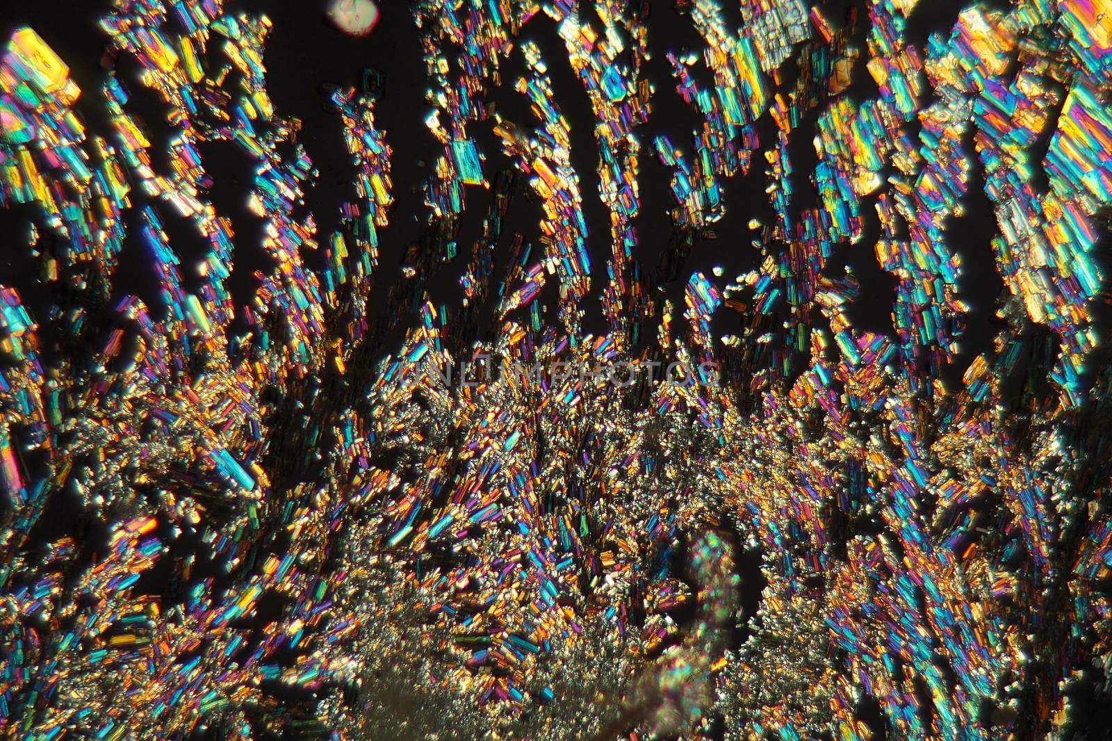 Alanine is a amino acid which occurs in the human body. The photo is made with a magnification of 100x and in polarized light. The sample is pure Alanine precipitated from a solution on a microscope slide.