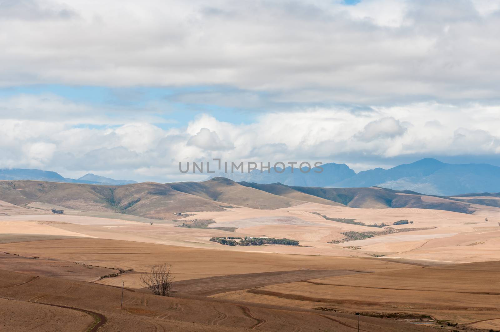 View of the countryside between Bot River and Caledon in the Overberg region of the Western Cape Province of South Africa
