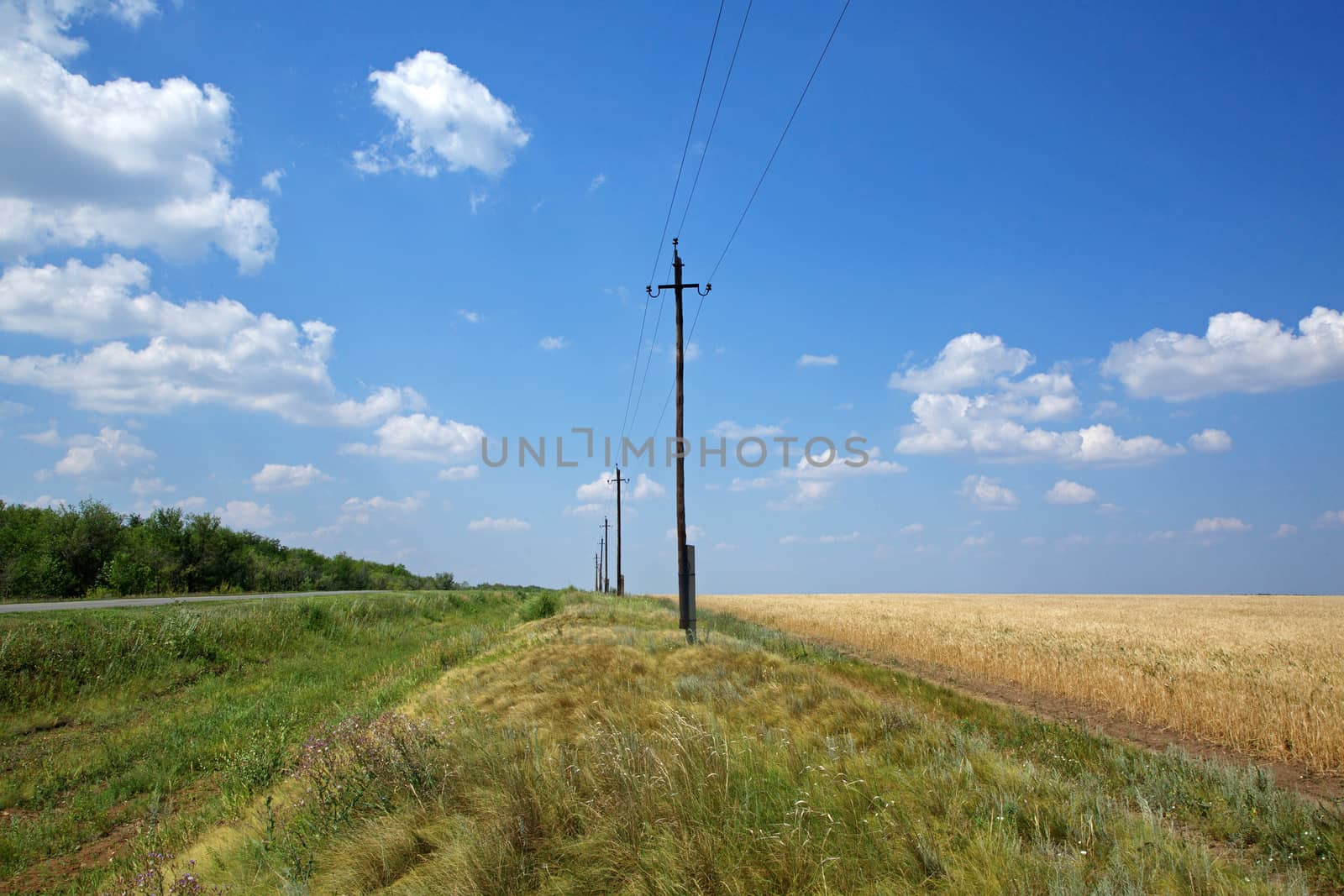 Country road, wheat field, power lines  and blue sky