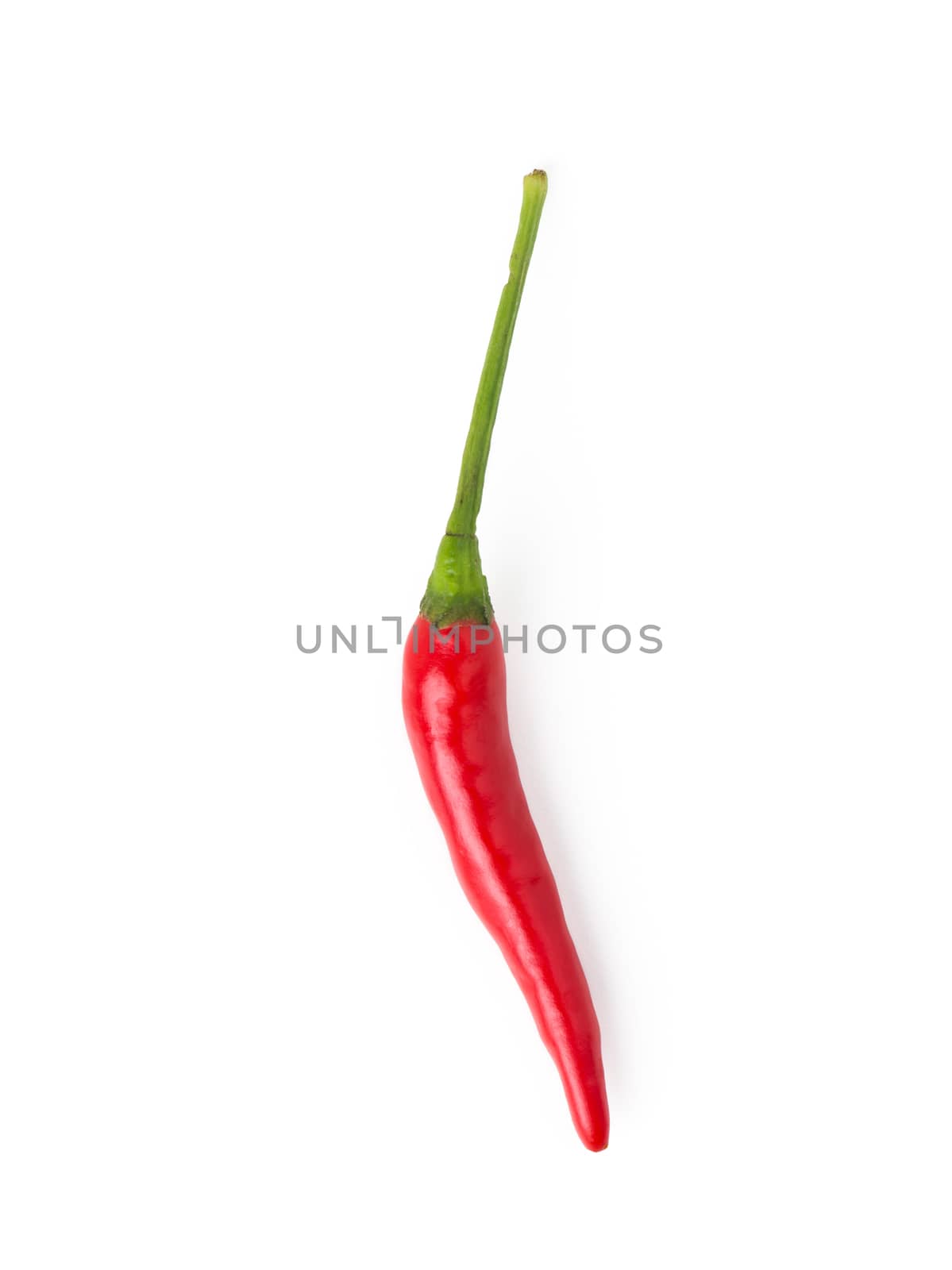 chili pepper by antpkr