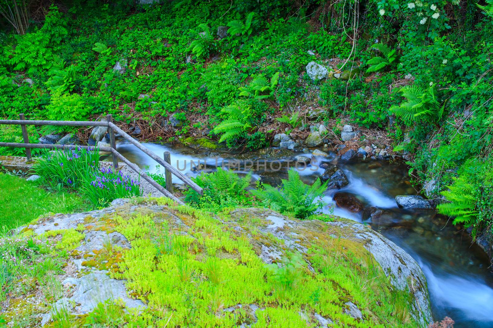 View of torrent in Arzo countryside, Verbania. italy