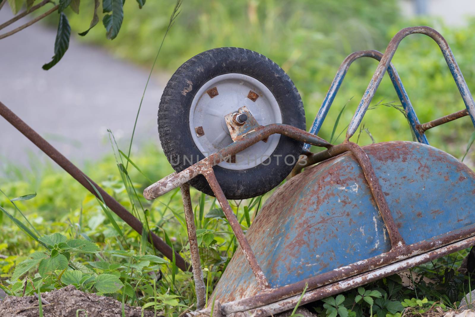 An old rusty blue wheelbarrow lying upside down in overgrown grass