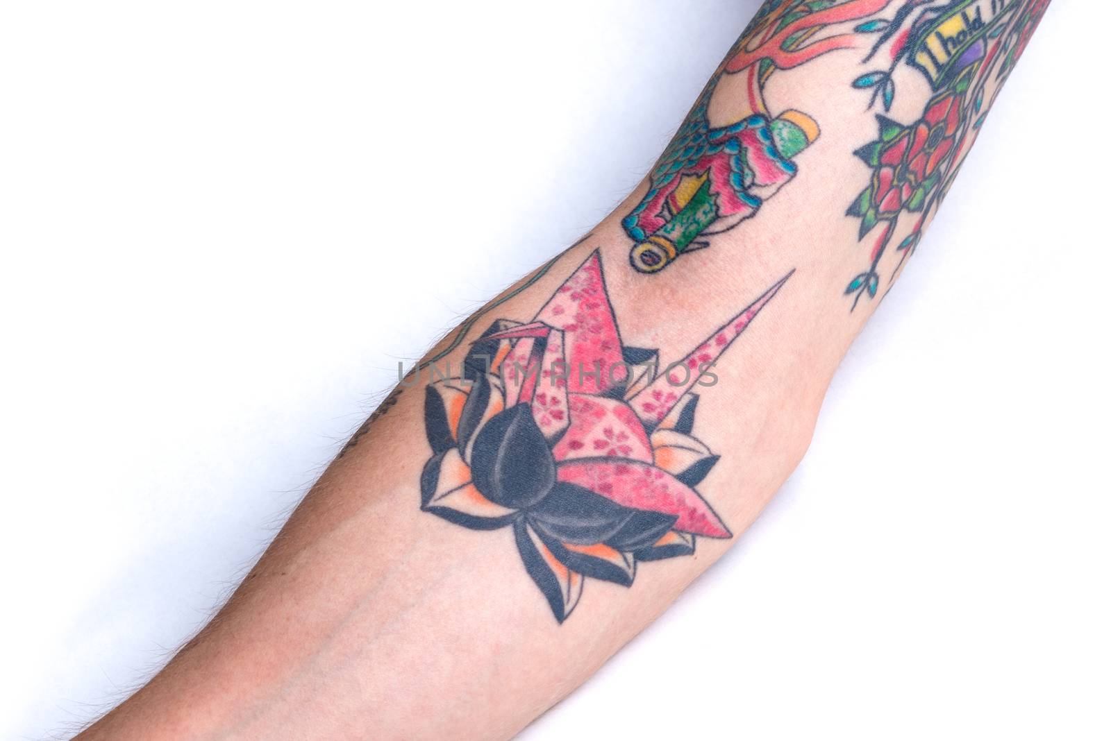 Pink Crane Black Lotus Forearm Tattoo by justtscott