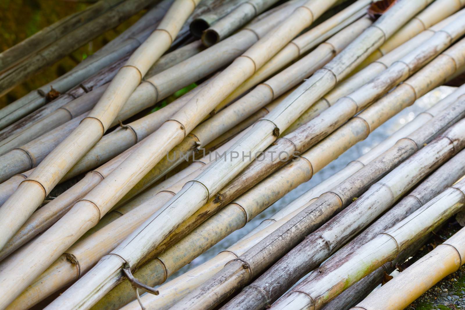 Pile of Cut Bamboo by justtscott
