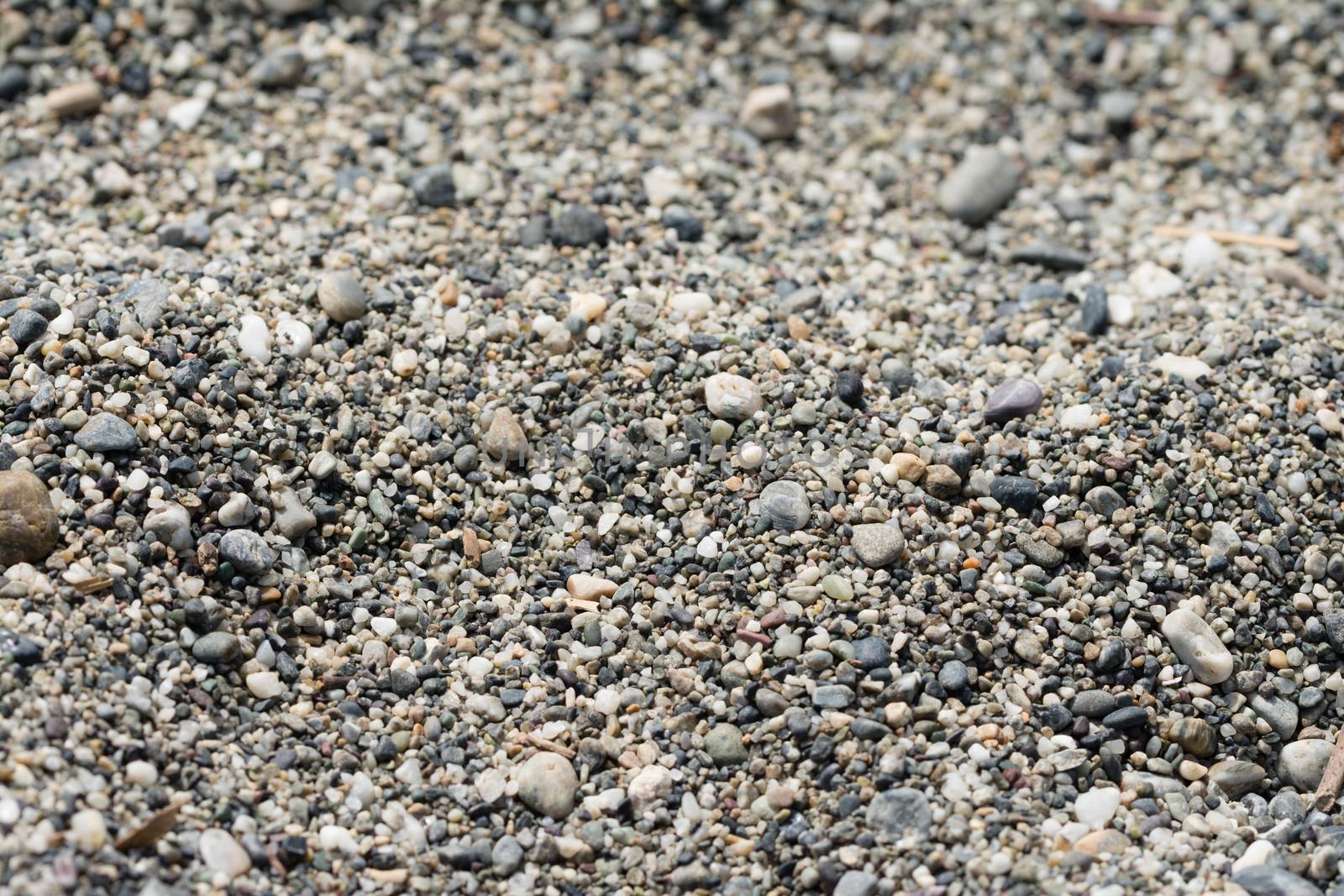 Many small pebbles on a beach.