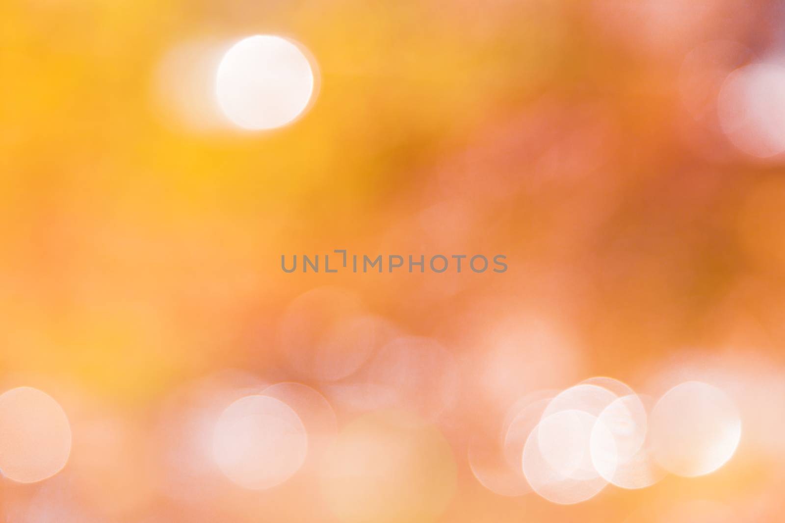 Natural bokeh. Beautiful abstract background for your design