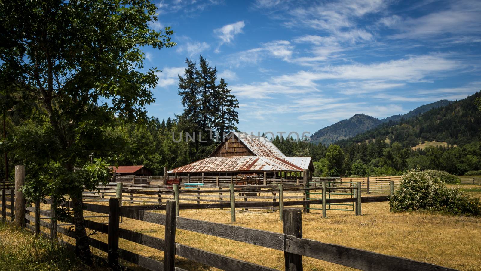 Quiet Farm by backyard_photography