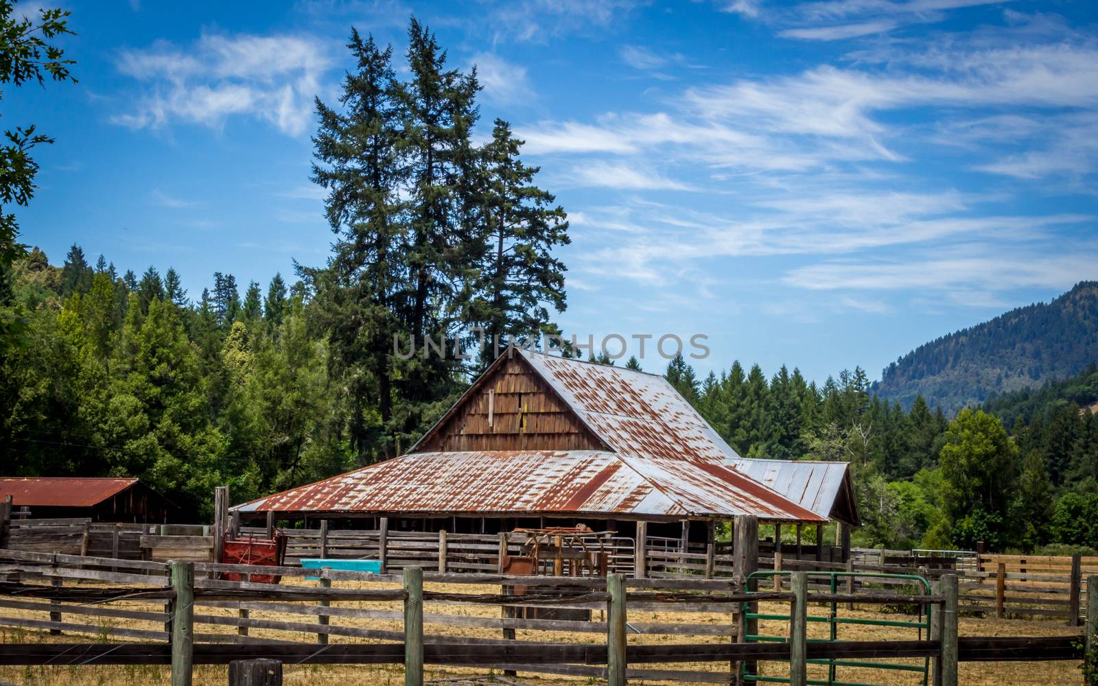 Quiet Farm by backyard_photography