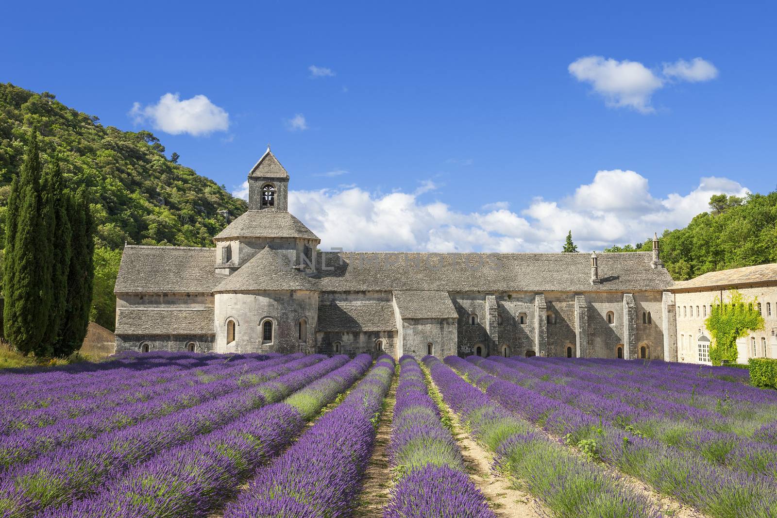 Famous Abbey of Senanque by vwalakte