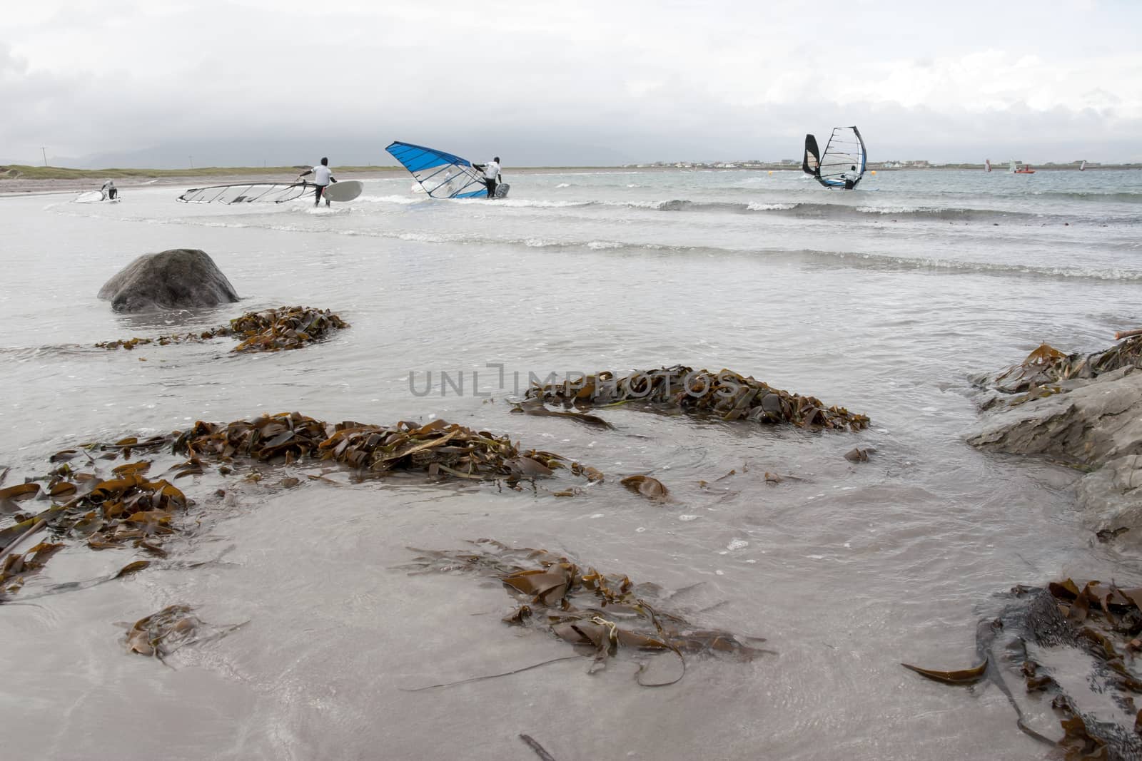 wind surfers racing in the storm winds on the wild atlantic way in county Kerry Ireland