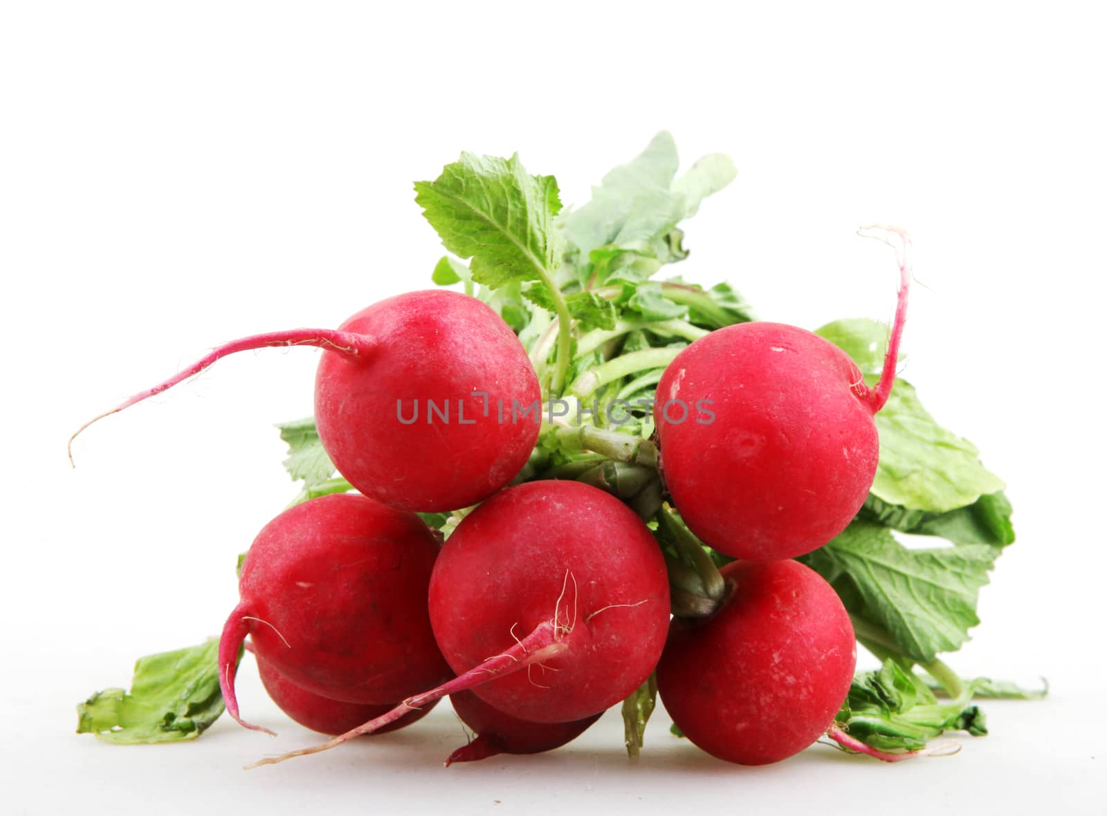 Red Garden Radish Isolated On White Background
