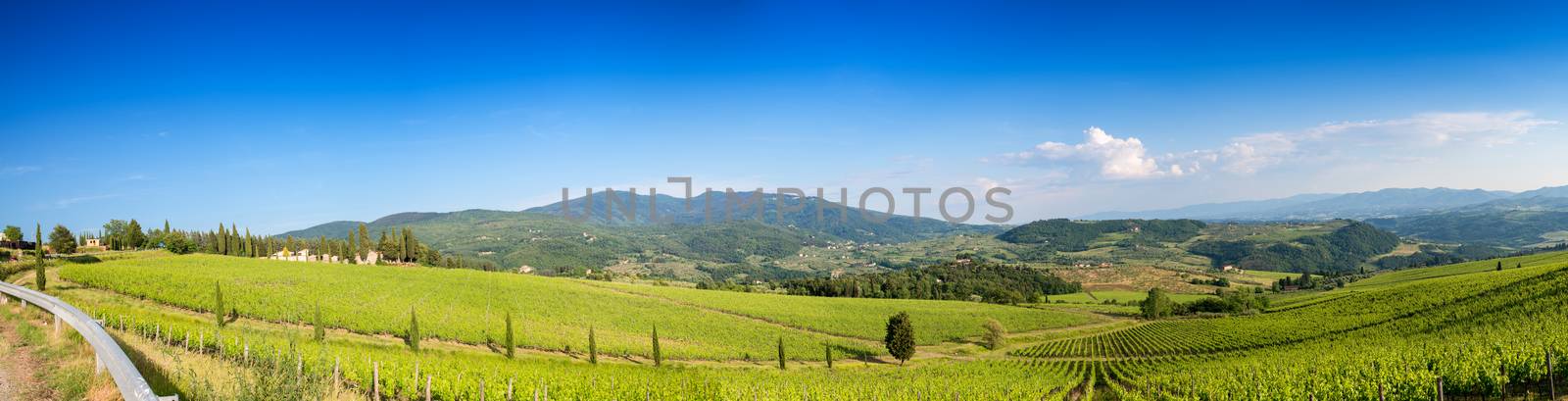 Panoramic view of hills in Tuscany, Italy by jovannig