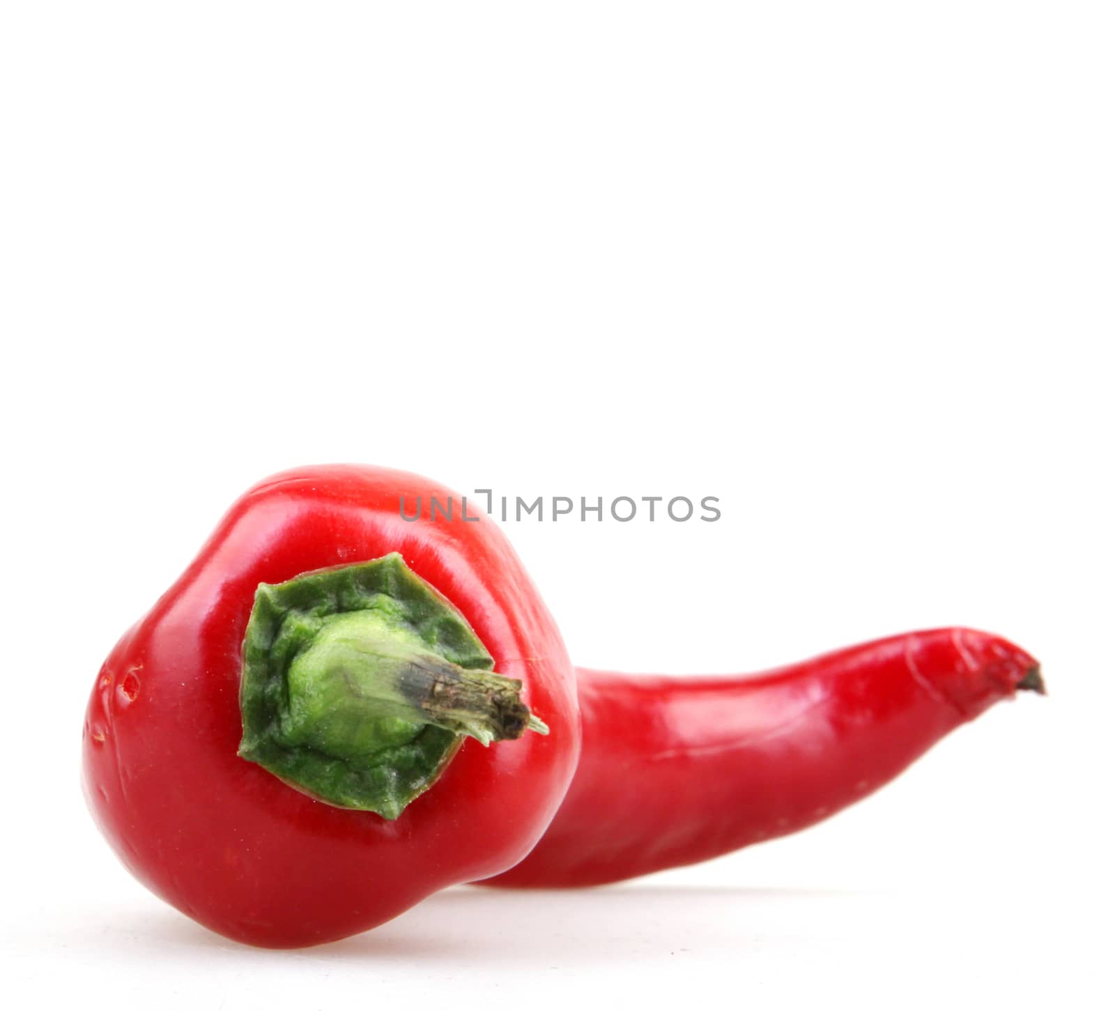 Red pepper on white background by nenov