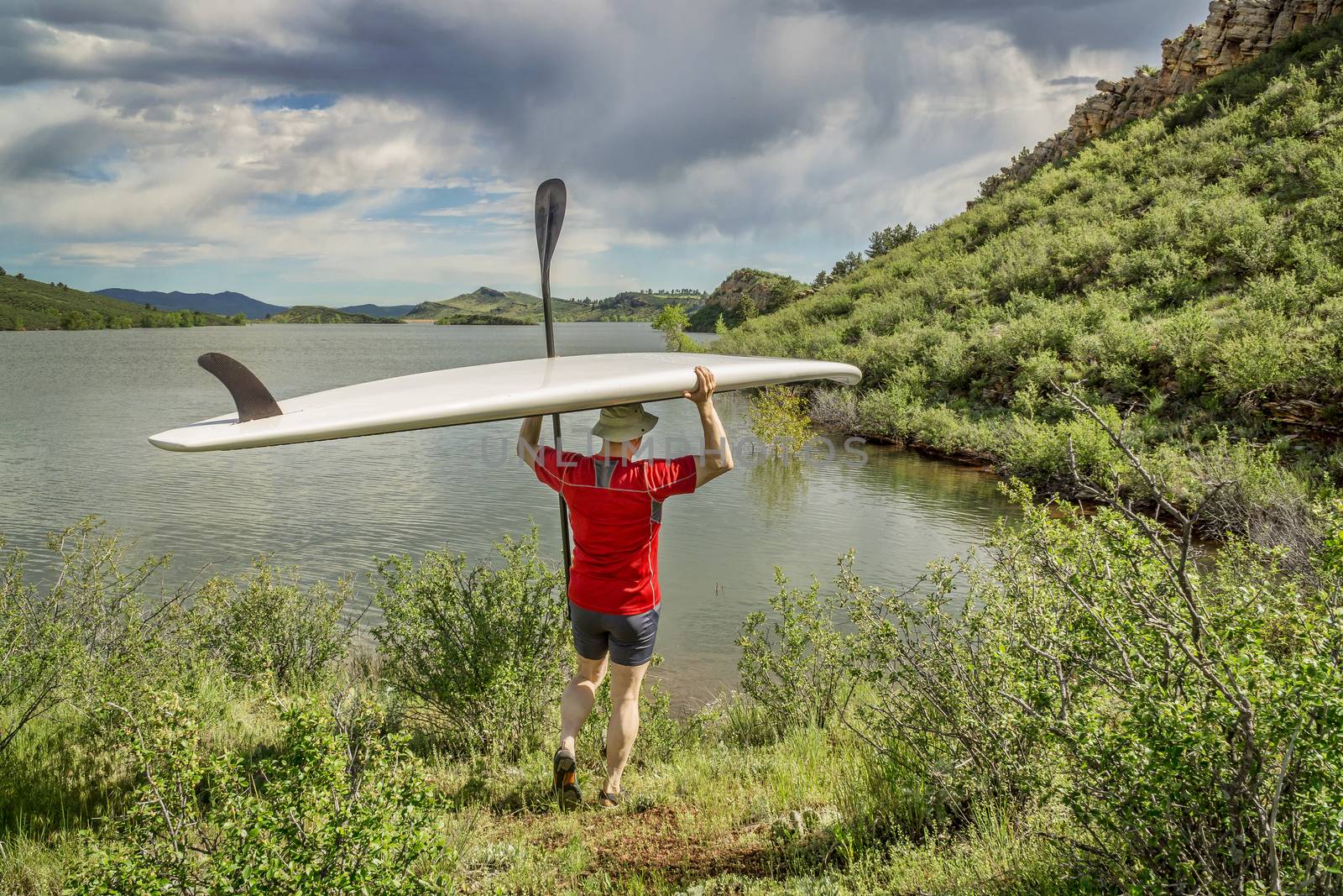 male paddler carrying a stand up paddleboard and a paddle on a sunny summer day - Horsetooth Reservoir, Fort Collins, Colorado