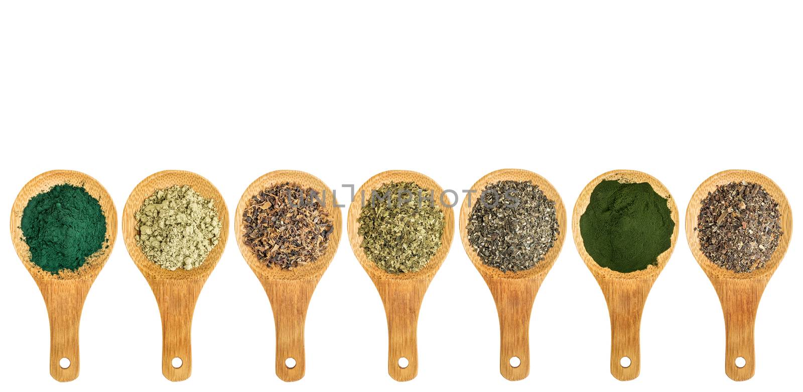 seaweed and algae nutrition supplements (Irish moss, wakame, bladderwrack, wakame, kelp, spirulina,chlorella) - top view of isolated wooden spoons