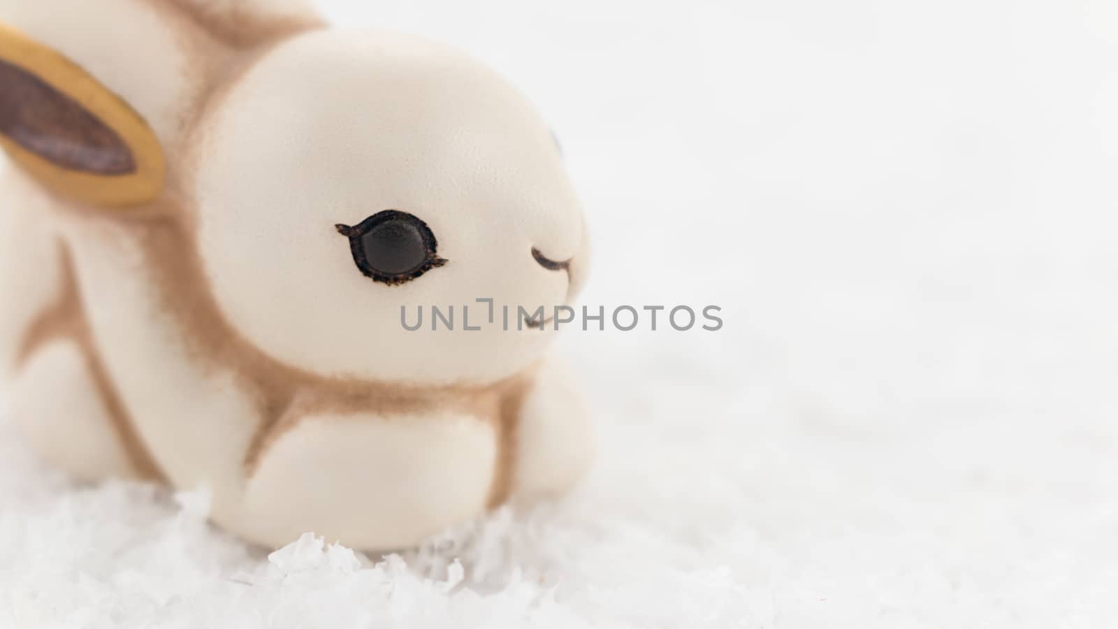 Easter bunny in the snow and white background