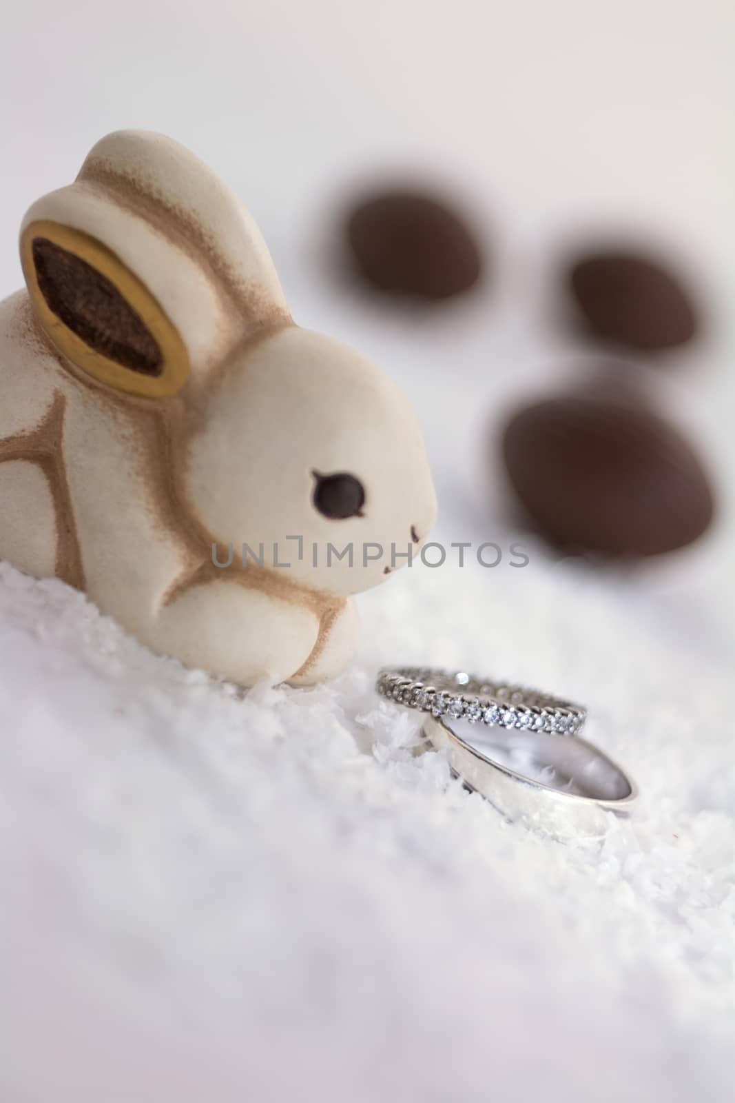 Easter bunny and engagement rings in the snow by EnzoArt