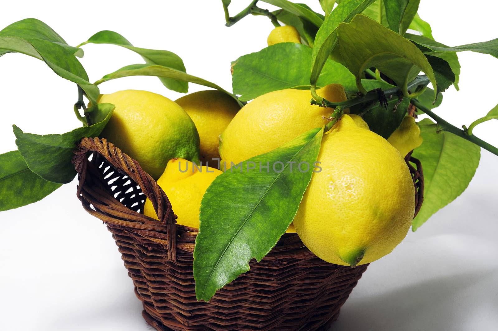 lemons with leaves isolated on white background