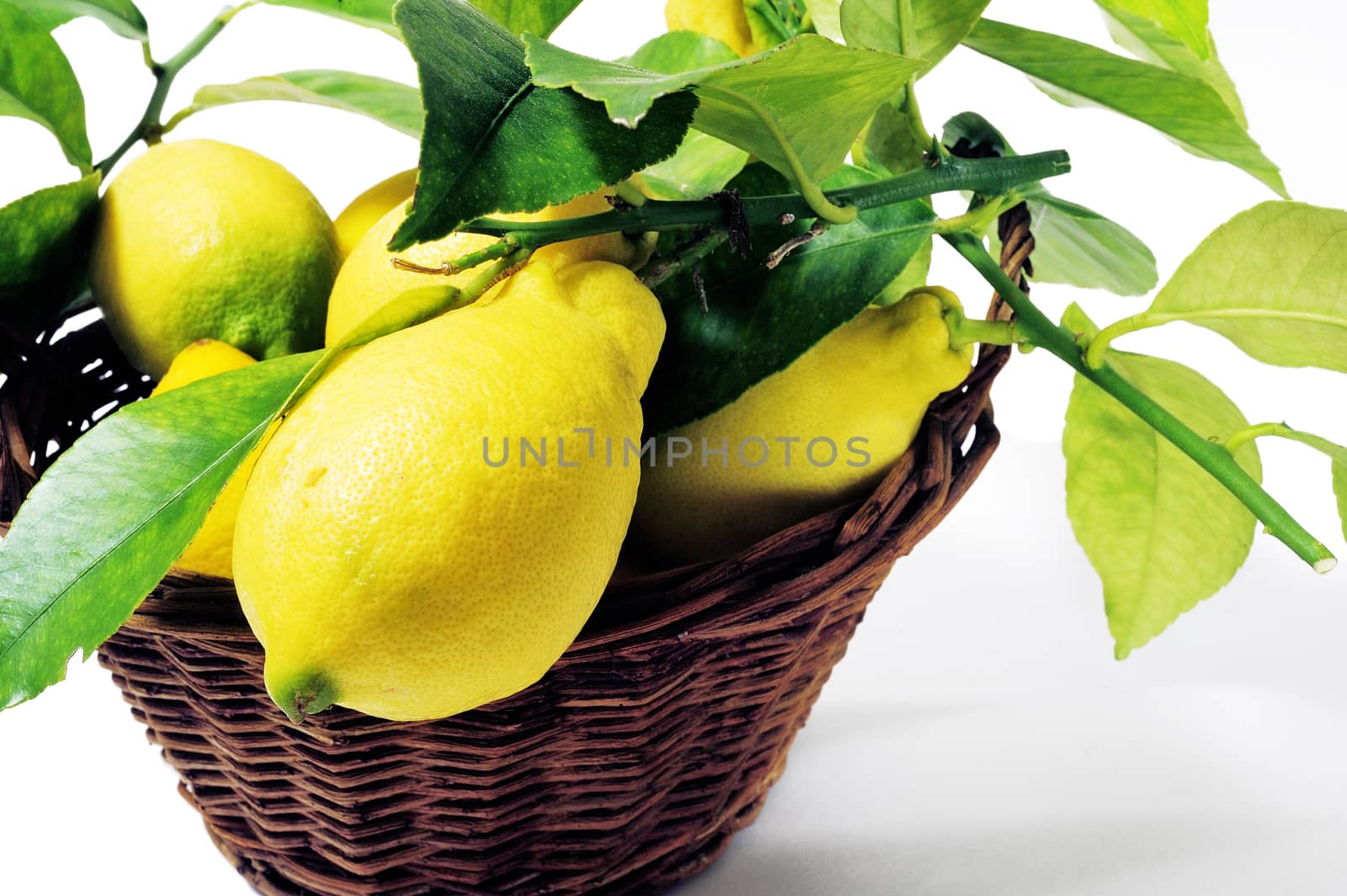 lemons with leaves isolated on white background