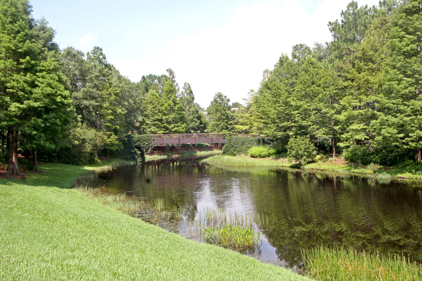 A bridge over a river in the countryside\