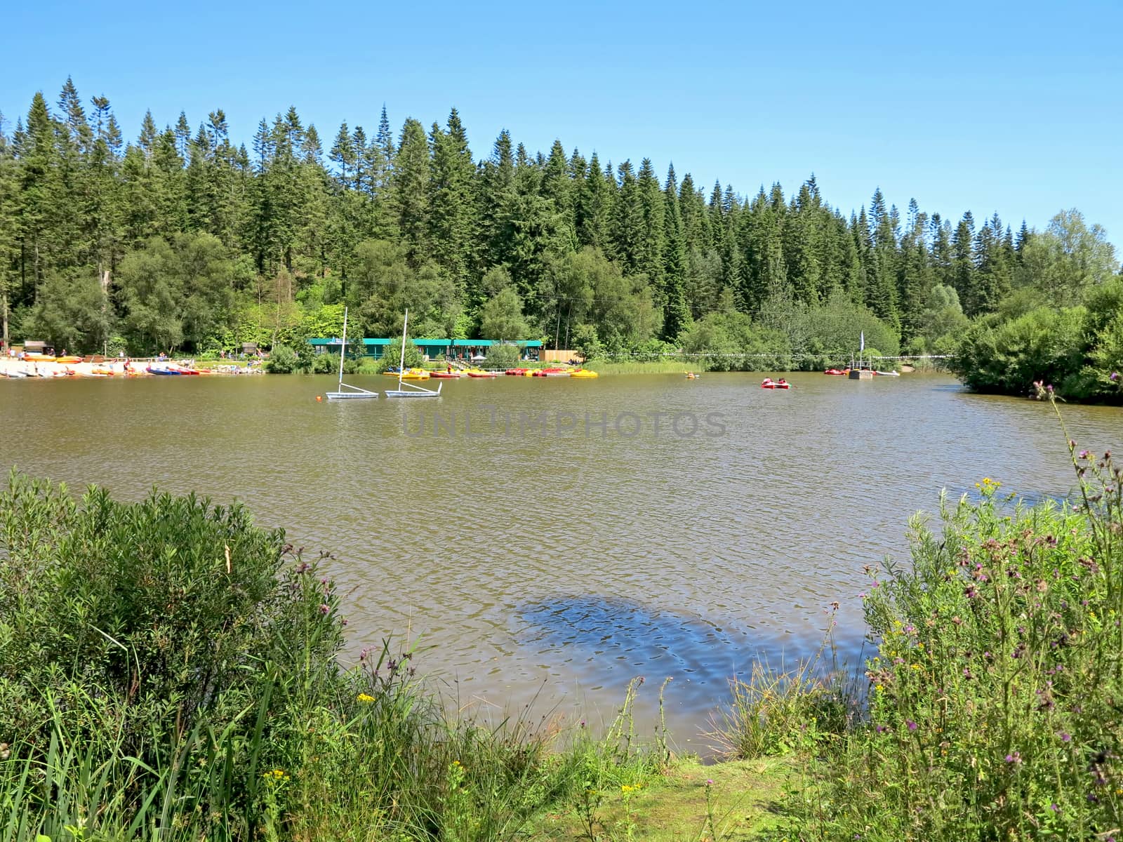 Lake in the Countryside by quackersnaps