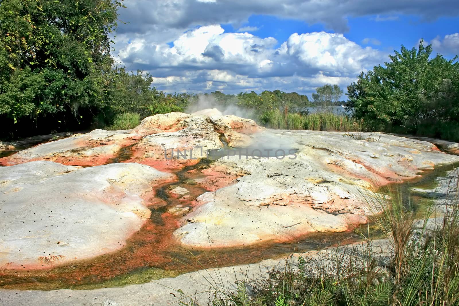 A geyser with steam, trees, clouds and lake