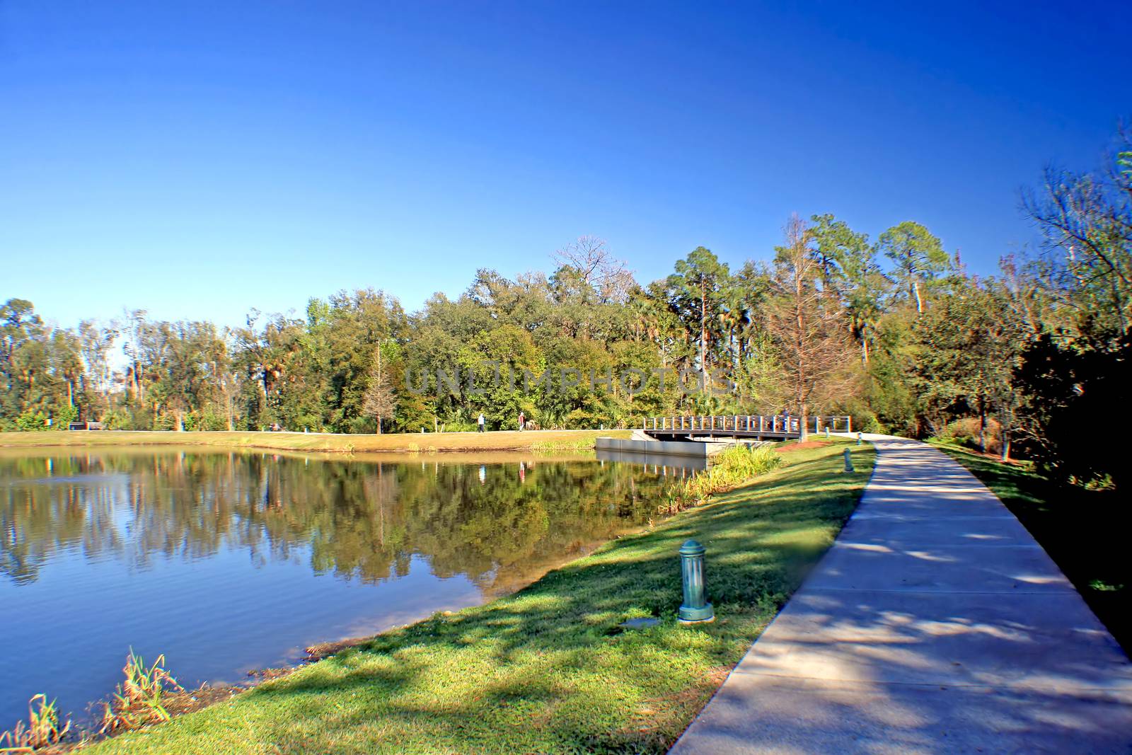 A lake in a rural area with trees and a bridge