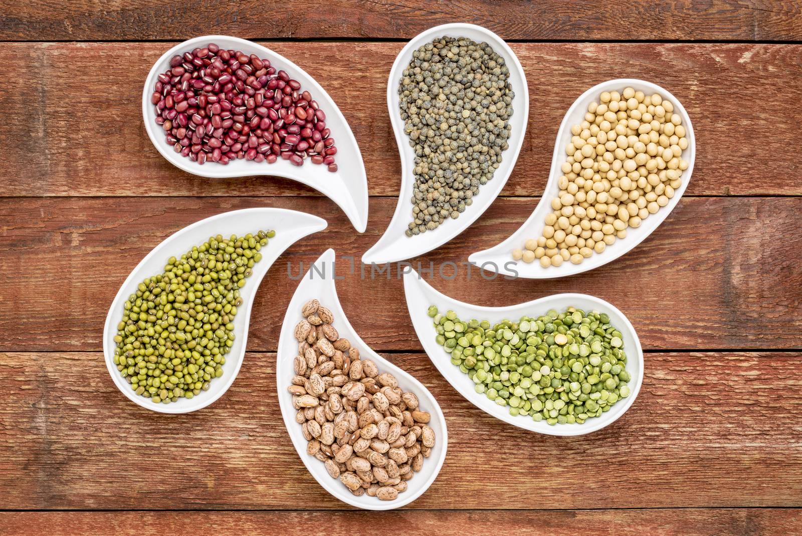 variety of beans, lentils, soy and pea in teardrop shaped bowls against rustic wood