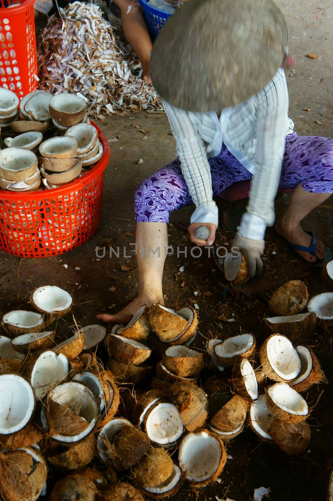 Asian worker, coconut, copra, material, Mekong Delta by xuanhuongho