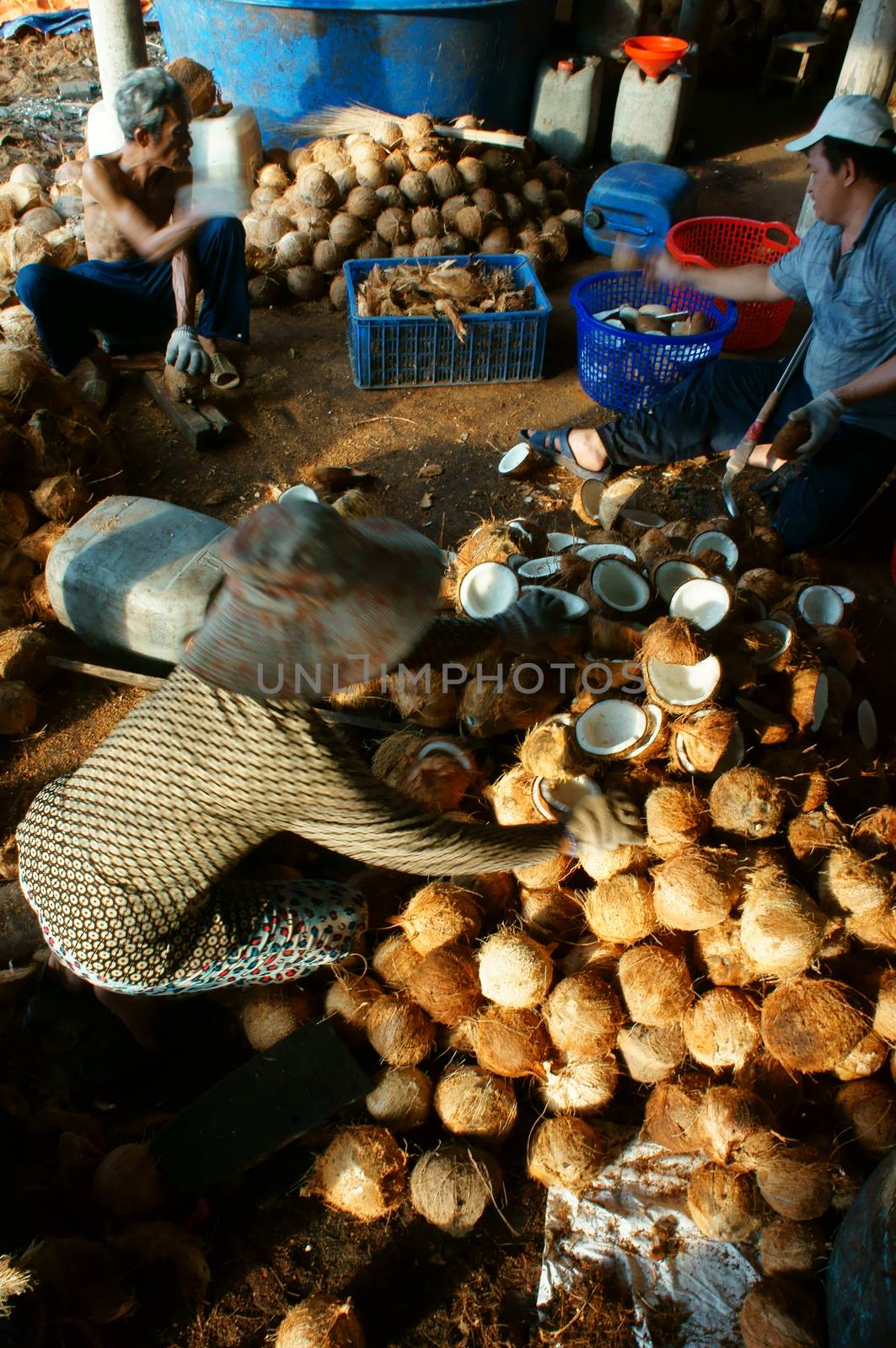 BEN TRE, VIET NAM- JUNE 1: Group of Asian worker working at coconut workshop to process coconut fruit, Vietnamese people split copra, material for candy and oil, Mekong Delta, Vietnam, June 1, 2015