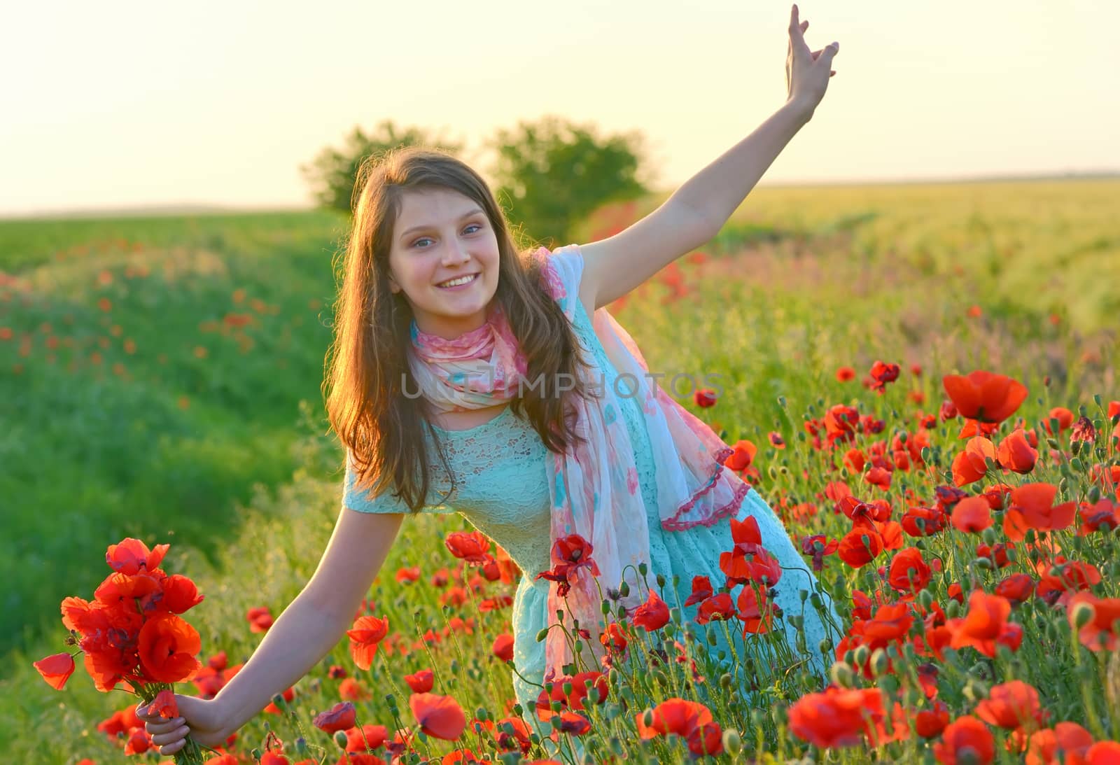 Young beautiful girl in poppy field