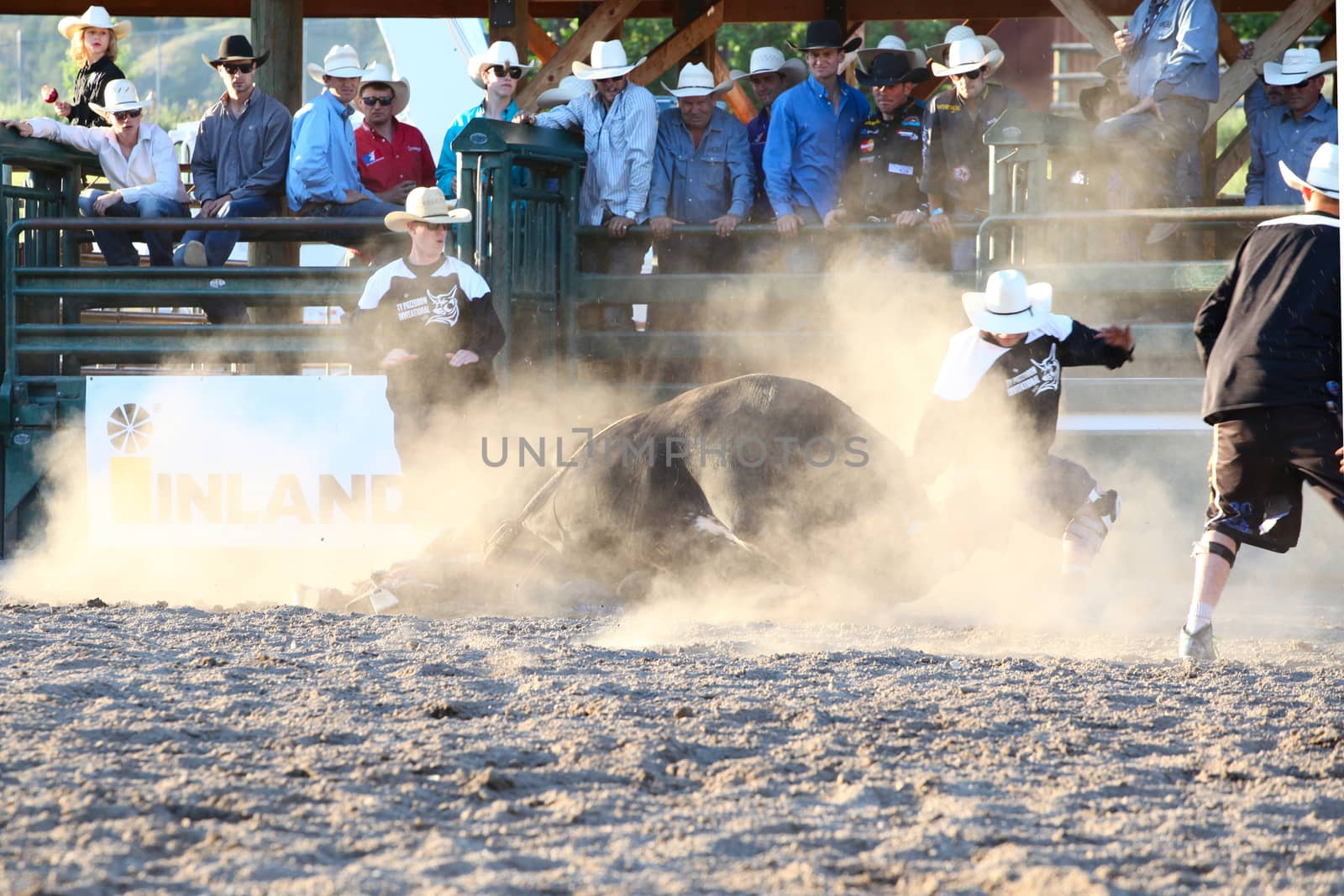 MERRITT, B.C. CANADA - May 30, 2015: Bull rider riding in the first round of The 3nd Annual Ty Pozzobon Invitational PBR Event.