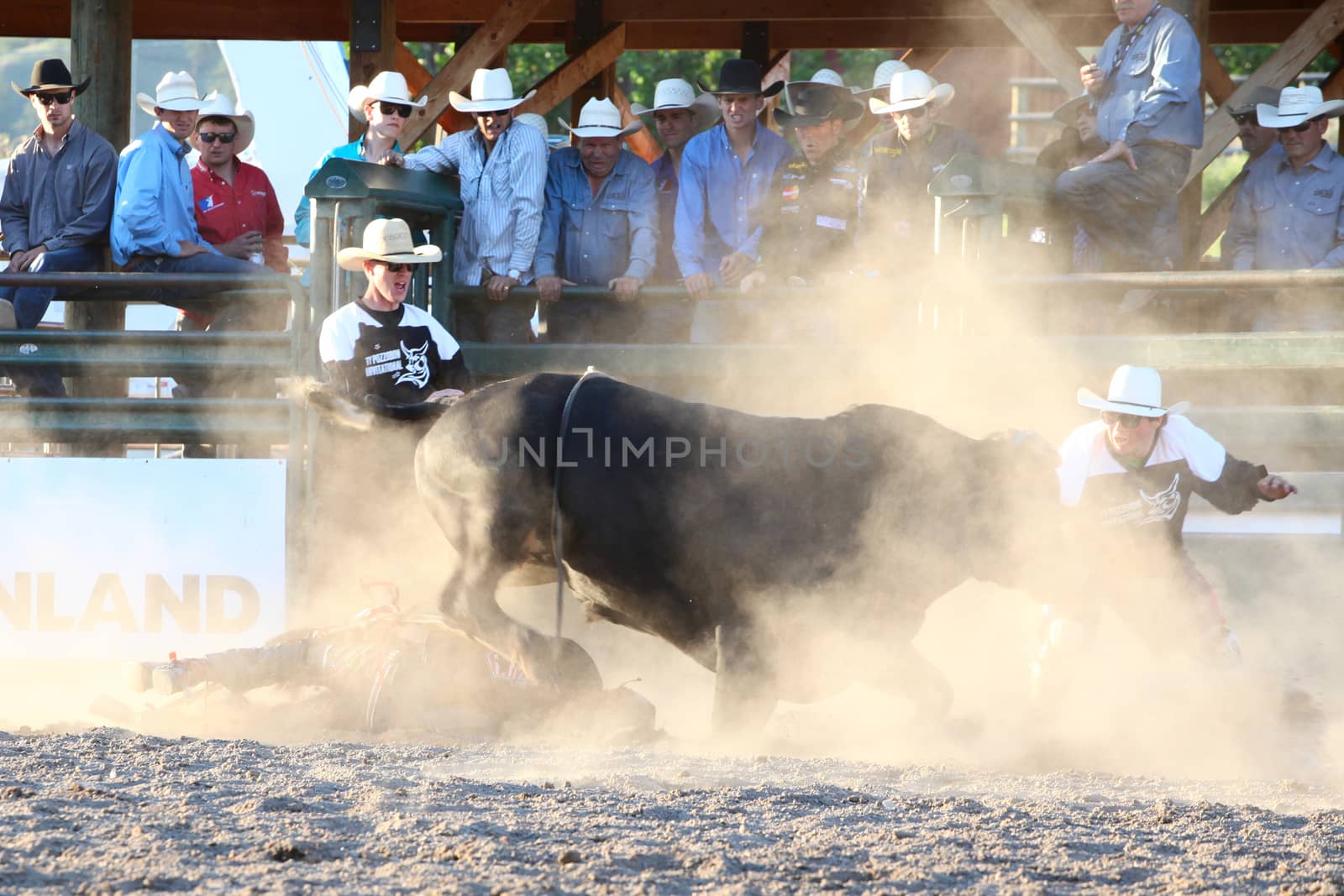 MERRITT, B.C. CANADA - May 30, 2015: Bull rider riding in the first round of The 3nd Annual Ty Pozzobon Invitational PBR Event.