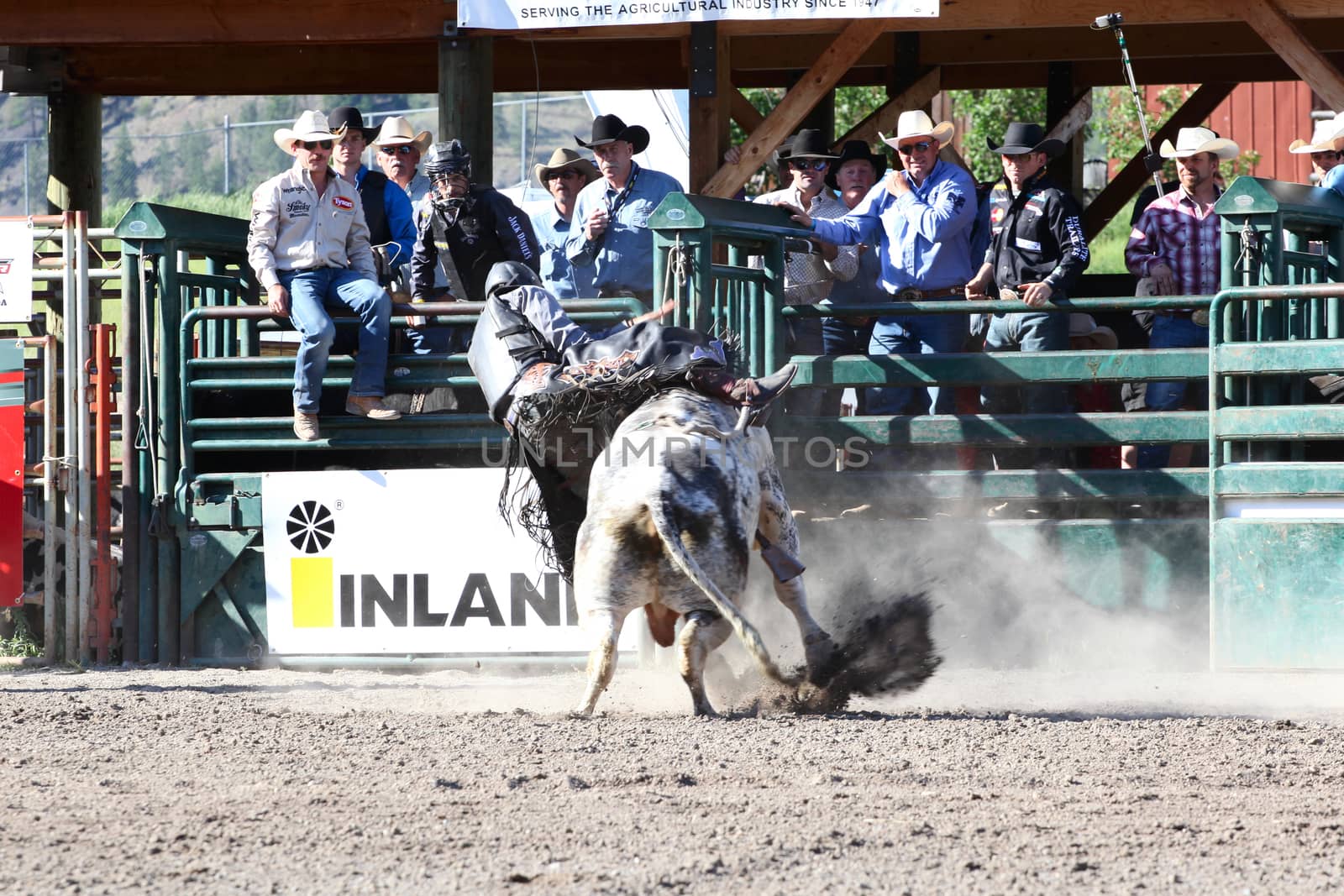 Ty Pozzobon Invitational PBR by vanell