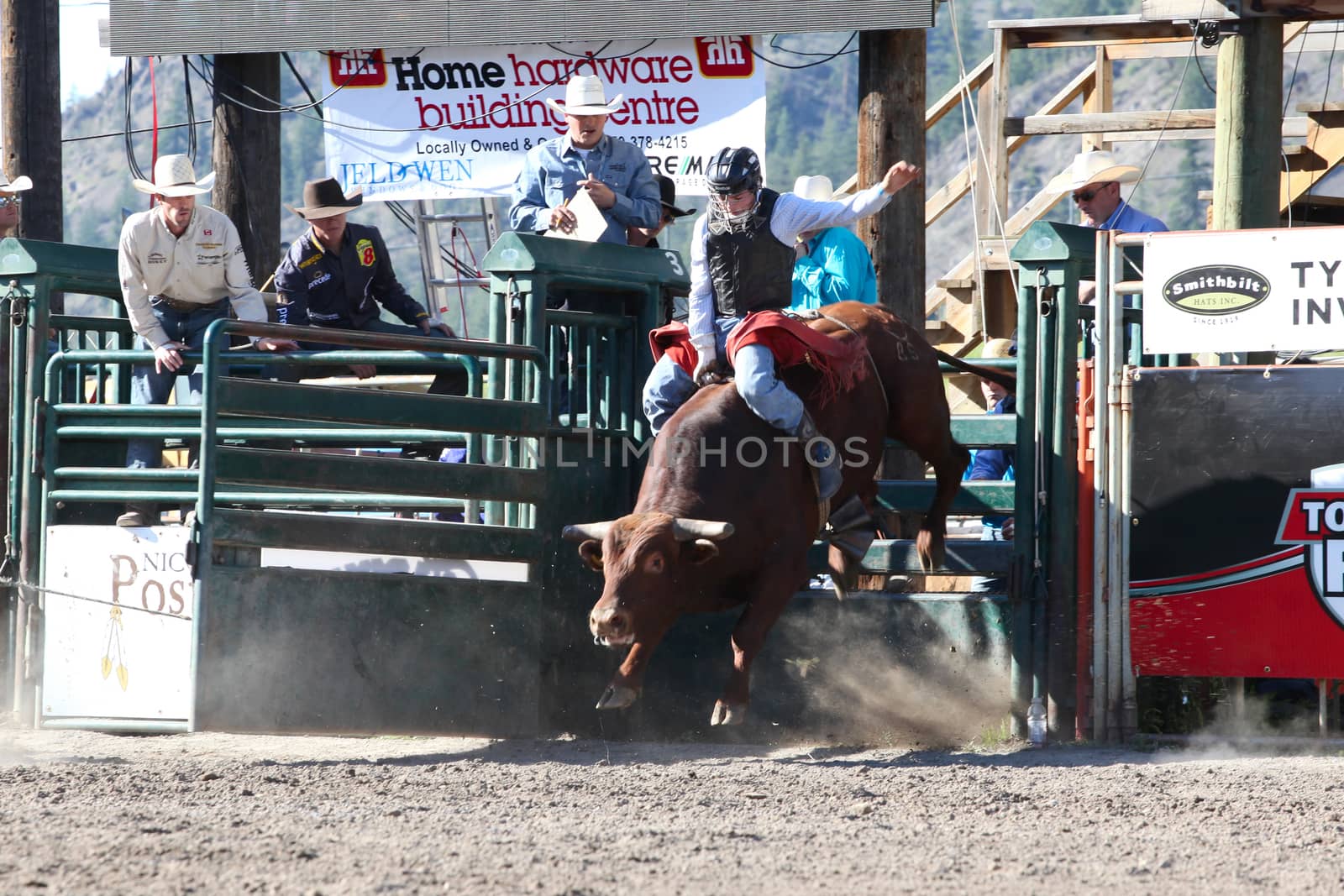 MERRITT, B.C. CANADA - May 30, 2015: Bull rider riding in the first round of The 3nd Annual Ty Pozzobon Invitational PBR Event.