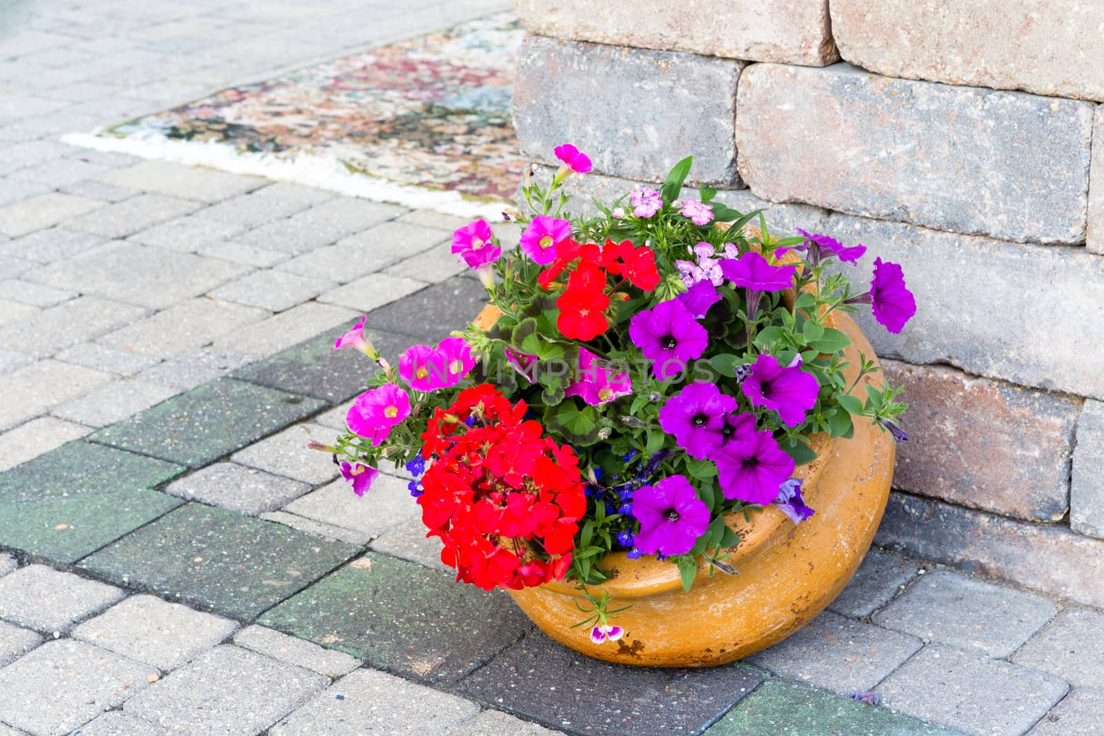 Ornamental display of colorful flowers in a tilted terracotta flowerpot standing at te edge of a building on a brick paved patio with red geraniums and purple petunias