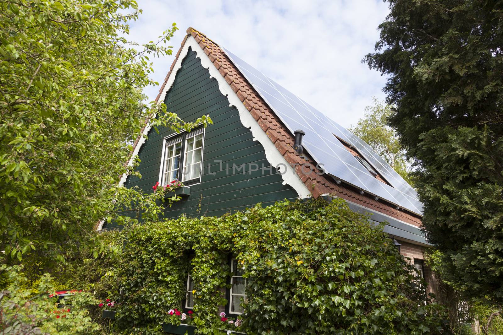 traditional dutch house with wooden front and solar panels in summer