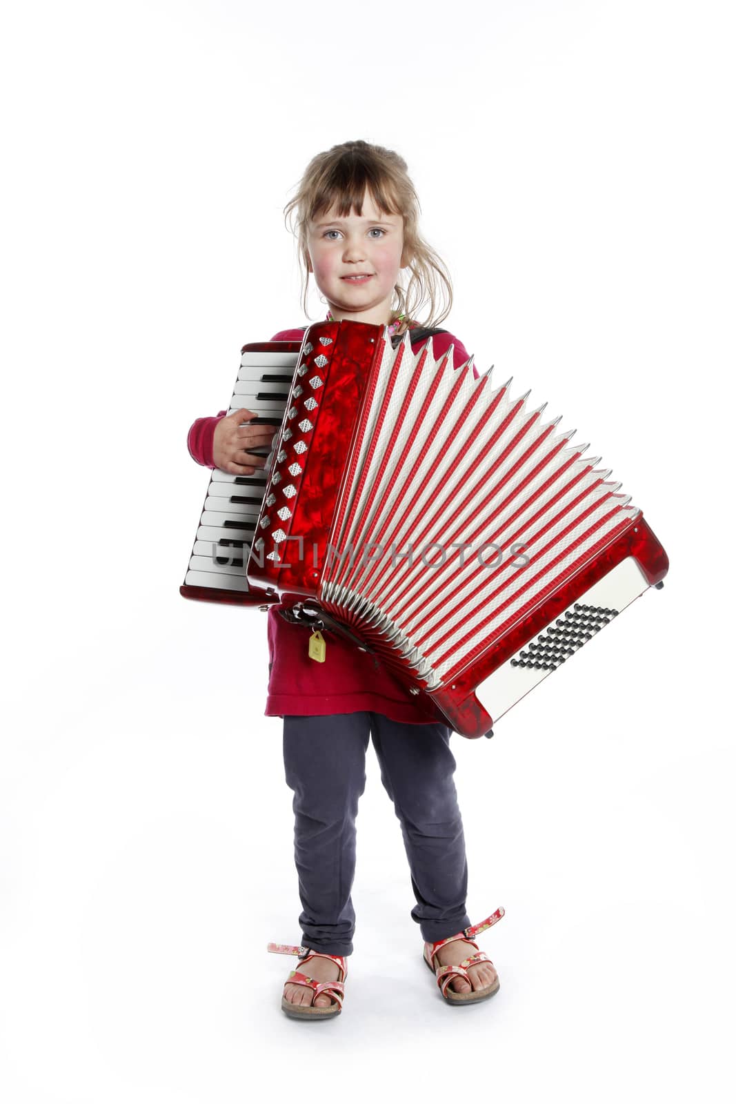 very young girl with accordion in studio against white background